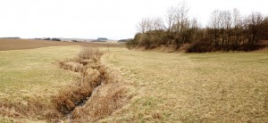 panorama_web