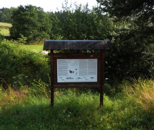 taldestepl